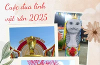 Cuộc đua linh vật rắn 2025: 'Bé Na' làm dậy sóng mạng xã hội