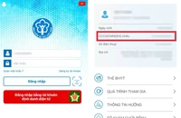 Trước 31-3, cập nhật CCCD ngay để không bị gián đoạn BHXH