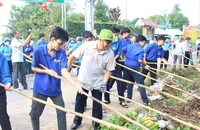 TP.HCM: Người dân chung tay diệt muỗi, lăng quăng, phòng chống sốt xuất huyết