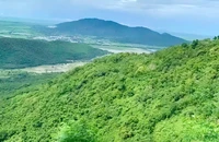 Soi tên phim 'Án mạng núi cấm' dưới góc nhìn pháp lý