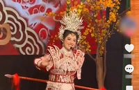Nghệ sĩ hủy show vì 'bất khả kháng': Khi nào được xem là có lý do chính đáng?