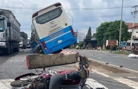 Đồng Nai: Xe khách tông chết người, lao vào dải phân cách
