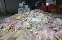 2,2 tấn gà chết ở Đồng Nai chuẩn bị mang đi tiêu thụ làm giò, chả