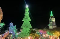 Cây thông Noel khổng lồ bằng nón lá, con đường hang đá dài 200 mét ở Đồng Nai