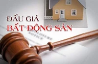 Đồng Nai dự kiến sẽ đấu giá 3 khu đất trong năm 2023