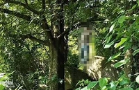 Phát hiện người đàn ông chết trong tư thế treo cổ trên núi ở Đồng Nai