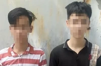 Hai thiếu niên chém, cướp tài sản của nhân viên giao hàng
