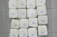 Công an 5 tỉnh phối hợp Bộ Công an bắt nghi can vận chuyển 16 kg ma túy trên cao tốc