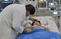 Vụ hơn 500 người ngộ độc sau ăn bánh mì: 2 bé ngộ độc rất nặng