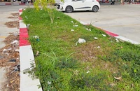Đồng Nai: Bãi đậu xe lớn nhất TP Biên Hòa nhếch nhác vì không có thùng rác