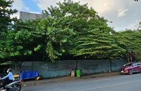 Đồng Nai: Đấu giá khu đất rạp hát Lido Biên Hoà làm dự án hơn 400 tỉ đồng