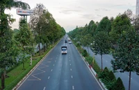 Đồng Nai lập Hội đồng định giá tài sản trong vụ án Công ty cây xanh Công Minh 