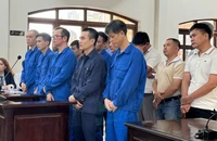 Xét xử 3 lãnh đạo cùng các đăng kiểm viên tại Trung tâm đăng kiểm ở Đồng Nai