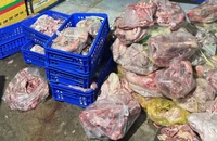 Đồng Nai: Gom heo chết về mổ rồi mang bán các cơ sở làm giò, chả, xúc xích