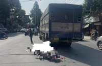 Đồng Nai: 1 học sinh đi xe đạp điện bị xe tải cán tử vong