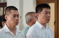 Đang xét xử vụ công ty LDG vụ xây lụi hơn 500 căn nhà, biệt thự trái phép ở Đồng Nai