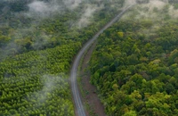 Đồng Nai làm đường trên cao 13 km xuyên rừng Mã Đà