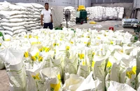 Công an Đồng Nai 'đột kích' nhà xưởng có dấu hiệu sản xuất, buôn bán phân bón giả 