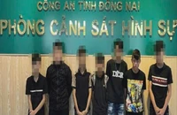 Bắt giữ nhóm thanh thiếu niên liên quan 2 vụ chém người ở Biên Hòa 