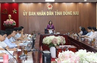 Sau sáp nhập tỉnh, Đồng Nai sẽ có quy định tách, hợp thửa đất 