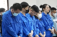 Đang xét xử vụ công ty thuê người làm 'chim mồi' để lừa bán đất