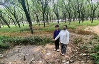 Bị bắt vì 'yêu' bạn gái 12 tuổi mới quen trên mạng trong lô cao su