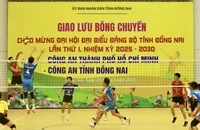 Đồng Nai thành lập Đội tuyển Bóng chuyền Nam