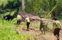 Truy đuổi nghi phạm, một bảo vệ rừng bị chém trọng thương