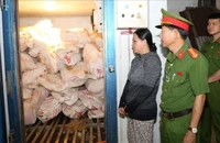 Người phụ nữ mua 12 tấn heo bệnh chết rồi bán ra thị trường 
