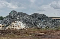 Đồng Nai: Bắt giam hai người tập kết hàng trăm tấn da bò gây ô nhiễm