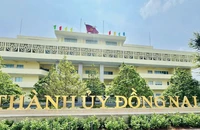 Đồng Nai rực rỡ cờ hoa trong ngày 30-4, chính thức trở thành thành phố
