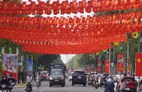 Thành phố Đồng Nai rực rỡ cờ hoa trước ngày 18-5
