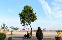 Chậm ban hành kết luận thanh tra, 1 chủ tịch huyện ở Đắk Nông bị phê bình