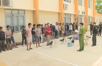 Hàng chục cảnh sát vây bắt nhóm đánh bạc dưới hình thức đá gà