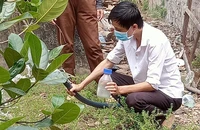Lần đầu xuất hiện vi khuẩn ăn thịt người ở Đắk Nông