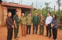 Lý do toà trả hồ sơ vụ 6 cựu chiến binh bị cáo buộc hủy hoại rừng ở Đắk Nông