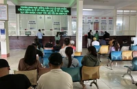 Ngày đầu làm biển số định danh: Đường truyền chậm, cập nhật dữ liệu còn khó khăn