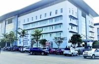 Đắk Lắk: Ăn cà độc dược, cả nhà nhập viện cấp cứu 
