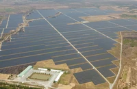 Không xử lý hành vi trốn thuế của một doanh nghiệp