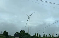 Đắk Nông cung cấp hồ sơ các dự án điện gió cho Ủy ban Kiểm tra Trung ương
