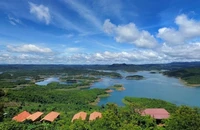 Điều chuyển giám đốc văn phòng đăng ký đất đai khi đang bị thanh tra