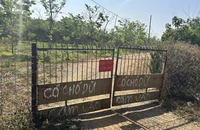 Xã đề nghị công an xử lý đàn chó dữ để cưỡng chế công trình trái phép
