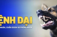 Người đàn ông làm nghề buôn bán chó tử vong do bệnh dại