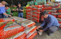 Cặp vợ chồng lập nhiều công ty để sản xuất hàng ngàn tấn phân bón giả