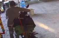 Chó chết vì bệnh dại, chủ nhà ráo riết tìm người bị hại