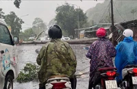 Giông lốc quật đổ cây cổ thụ đè hỏng xe cứu thương