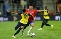 Ecuador không bị loại khỏi World Cup 2022