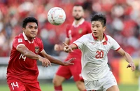 Lịch thi đấu AFF Cup 2024: Việt Nam tiếp Indonesia trên sân nhà ngày 30-11