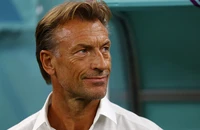 Cựu HLV Nam Định Herve Renard tìm cách “nắm cổ chuột túi”