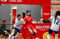 Tuyển Việt Nam làm gì sau khi đoạt vé Asian Cup 2025
